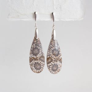 Fossile Koralle, Sterling Silber, Tropfen Edelstein Ohrringe
