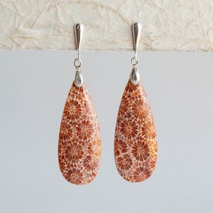 Fossil Coral, Sterling Silver, Teardrop Gemstone Earrings