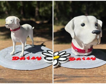 Labrador Retriever • Wunschfarben • Tiere