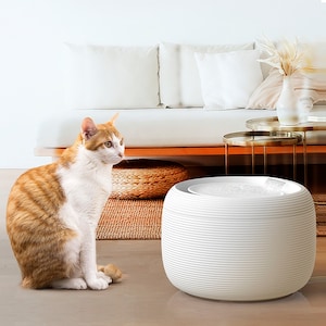 Ceramic dog water fountain hot sale