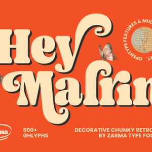 Modern Sans Serif Font | Italic fonts | funky font | wavy font | cricut font | retro 70s font |  font with tails | bold font
