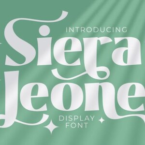 Modern Display Serif Font, Italic fonts, funky font, wavy font, cricut font, retro 70s font, font with tails, bold font
