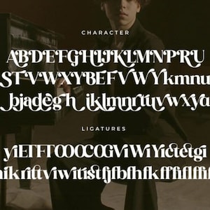 Modern Serif Font, fonts procreate, fonts cricut, retro 70s font, fonts retro, retro groovy font image 9