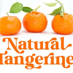 Modern Sans Serif Font, Italic fonts, funky font, wavy font, cricut font, retro 70s font, font with tails, bold font