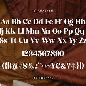 Modern Serif Font, fonts procreate, fonts cricut, retro 70s font, fonts retro, retro groovy font image 8