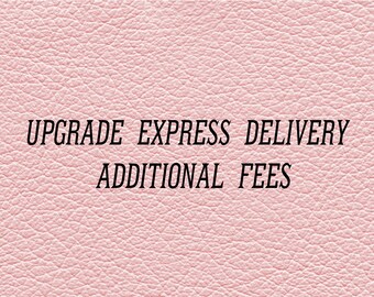 Upgrade express delivery, additional fee dedicated link