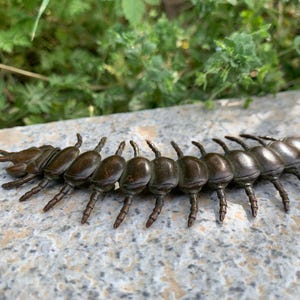 Solid red copper Centipede insect Statue Figure ornaments, Home Feng Shui Decors Beetle Bug Art Graden Yard Realistic centipede bug DL040