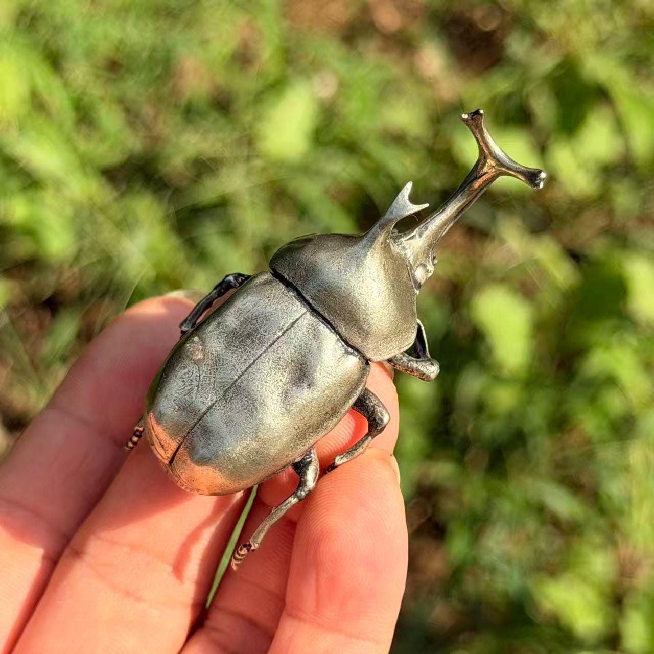 Bombardier beetle - Etsy 日本