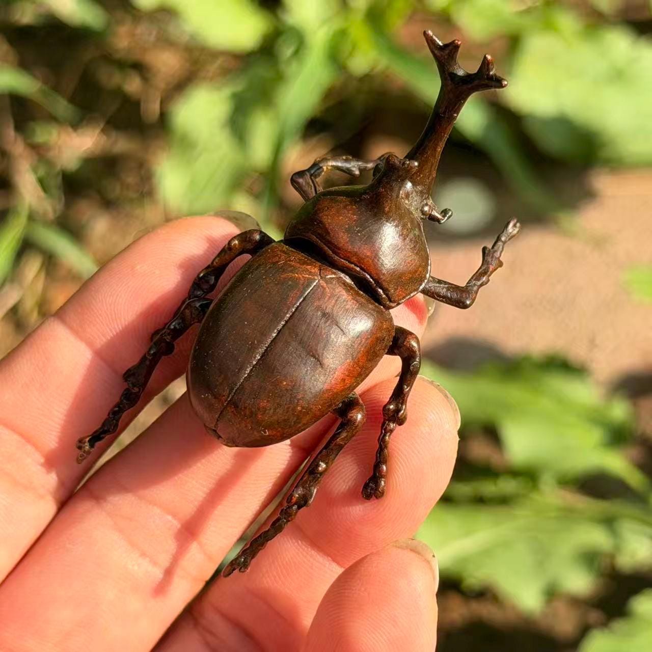 Bombardier beetle - Etsy 日本