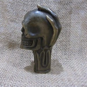 Minimalist Brass human skull with hand Design Handle Head Wooden walking stick Cast Iron Decorative Fence Tip Umbrella Toppers Head Cane To3