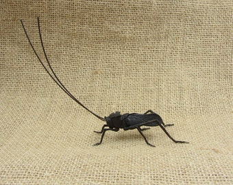 May include: A black metal sculpture of a cricket with long antennae and six legs. The insect is positioned on a textured, tan burlap surface. The sculpture is detailed and realistic, showcasing the insect's body structure.
