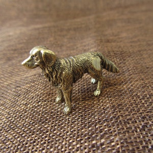 May include: A small, detailed brass dog figurine in a standing pose. The dog has a textured coat and is cast in a golden-brown color. The figurine is a decorative item, likely a collectible or a piece of home decor.