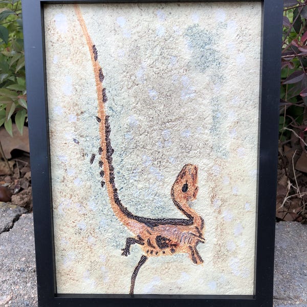 Dinosaur Dragon Bird Fossils, Jurassic World Replica, Animal Skeleton Fossils, Full Size Replica of "Berlin Specimen" Archaeopteryx Fossil