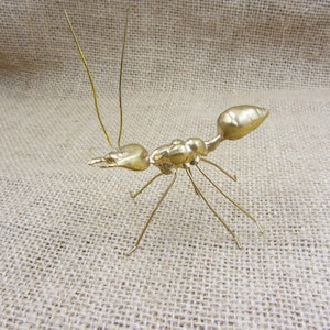 Puede incluir: Una escultura de hormiga de metal dorado con segmentos corporales detallados y delicadas patas y antenas de alambre. La escultura está sobre un fondo neutro y texturizado, resaltando la intrincada artesanía de la figura del insecto.