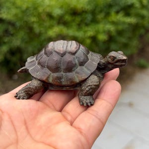 May include: A bronze-colored turtle figurine with detailed shell and textured skin. The sculpture is held in a hand, showcasing its size and craftsmanship. The turtle's head and legs are visible, adding to its realistic appearance. A decorative item.