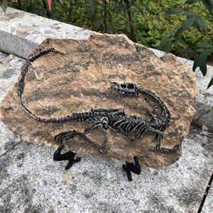 Jurassic World Replica,Dinosaur skeleton Fossils,Animal Skeleton Fossils, Full Size Replica of   Skull Specimen Archaeopteryx Fossil tom815