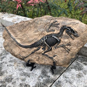 Jurassic World Replica, Dinosaur skeleton Fossils,Animal Skeleton Fossils, Full Size Replica of "Berlin Specimen",Archaeopteryx Fossil y71A1