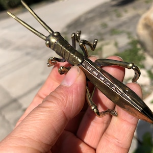 May include: A brass grasshopper ornament. The insect has long antennae, a segmented body, and detailed legs. The grasshopper is a golden-brown colour and appears to be made of metal. The ornament is held in a hand.