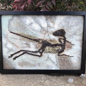 Replica Jurassic World ,Dinosaur skeleton Fossils,Animal Skeleton Fossils,Full Size Replica of &quot;Berlin Specimen&quot;,Archaeopteryx Fossil tom812