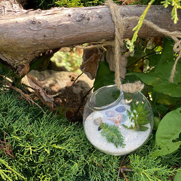 Hanging Terrarium Etsy