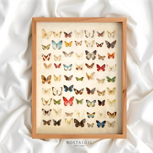 Digital Download Vintage Butterfly Wall Art, Botanical Insect Print, Botanical Butterfly Collection Poster, Vintage Poster Butterfly, AI art
