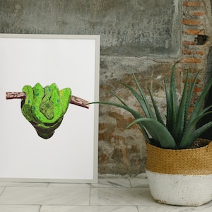 Könnte beinhalten: Ein gerahmter Druck mit einer detaillierten Illustration einer grünen Baumpython, die sich um einen braunen Ast windet. Das Kunstwerk ist vor einem weißen Hintergrund mit einem neutral getönten Rahmen platziert. Das Bild wird in der Nähe eines geflochtenen Korbs mit einer Pflanze angezeigt.