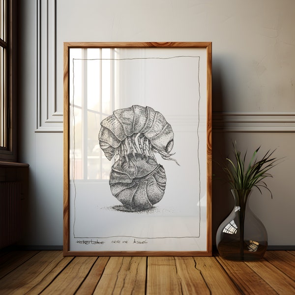 Kakerlake nee ne Assel - Hand-Drawn Illustration Print - Cellar Rattle - Animal Insect Artwork- Wallart or Poster