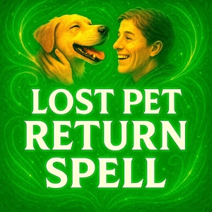 Peut inclure: Illustration numérique sur fond vert représentant une personne souriante et un golden retriever. Le texte "LOST PET RETURN SPELL" est en grandes lettres blanches en dessous. L'œuvre a un thème magique et éthéré.