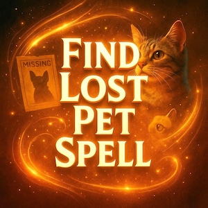 May include: An artistic illustration with the text "FIND LOST PET SPELL" in large, bold letters. The image features a tabby cat, a small cat head, and a "MISSING" poster with a cat silhouette, all set against a glowing orange background.