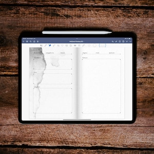 InkQuest Fantasy (DE) Goodnotes template, RPG, notebook for role-playing games, notebook, PDF, 24 covers, double pages, statistics, stickers