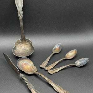 Wm Rogers Arbutus AA Silverware: 1908 Demitasse Spoons, Master Butter Knife, Ladle