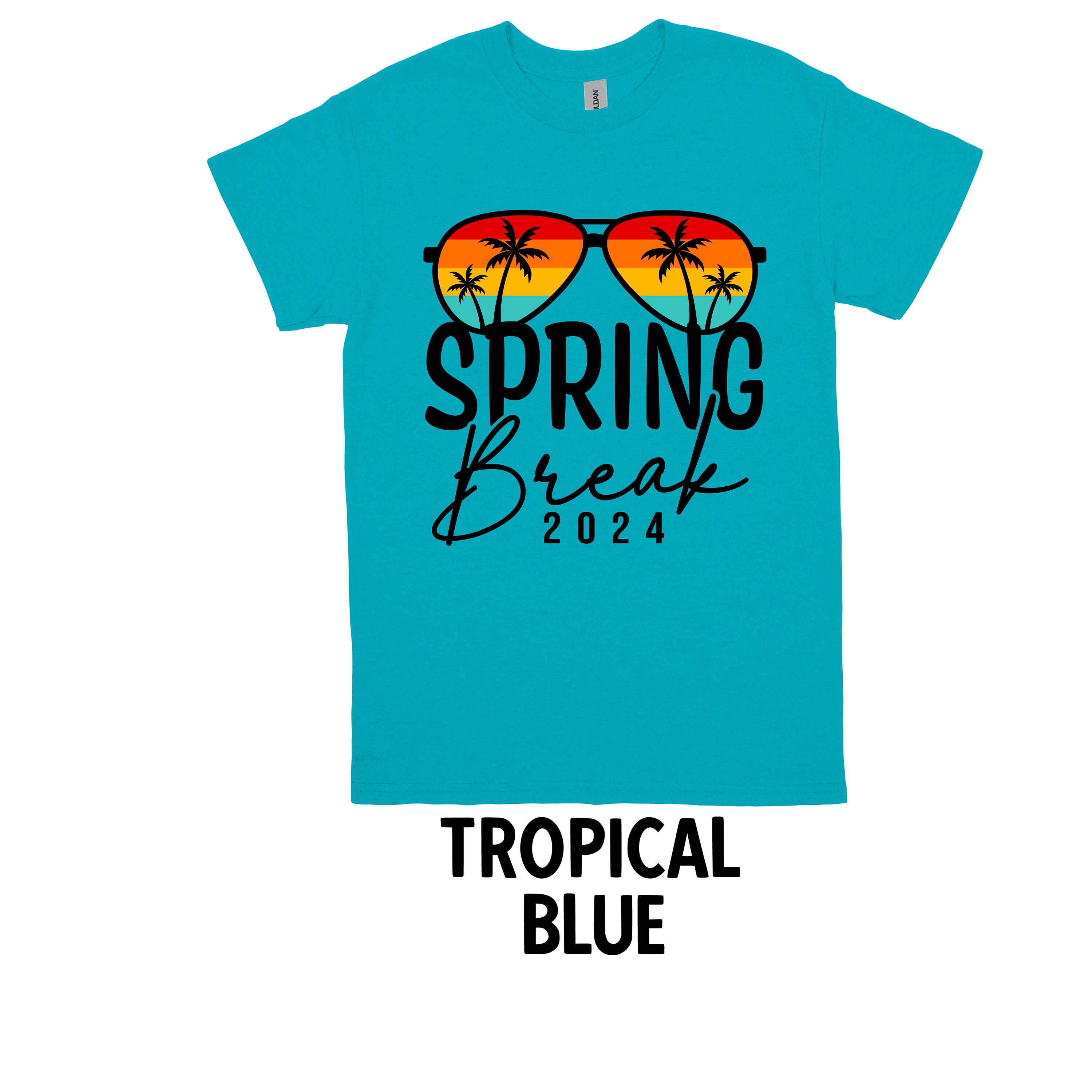 Spring Break Shirt, 2024 Spring Break Shirt, Vacation Shirt, Family