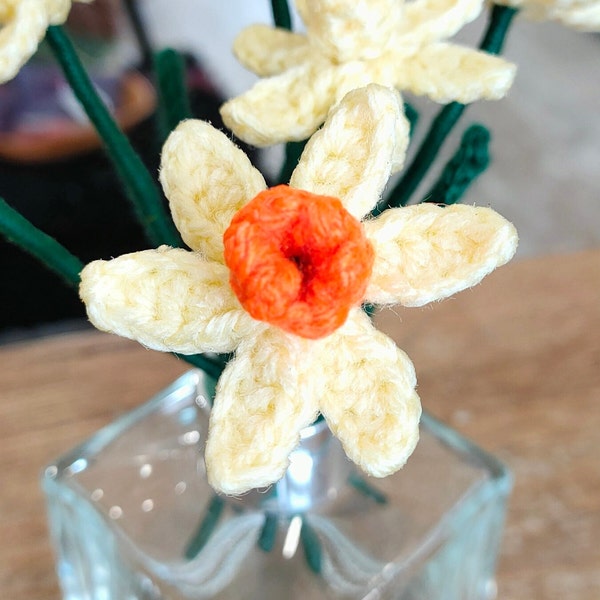 Miniature Daffodils (Narcissi)