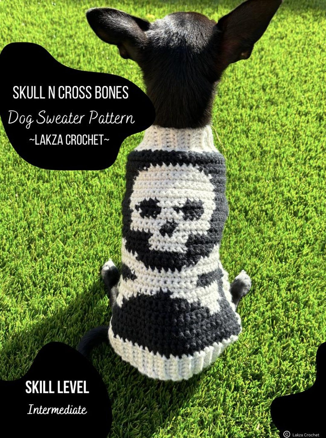 Skull N Crossbones Crochet Dog Sweater Pattern - Etsy