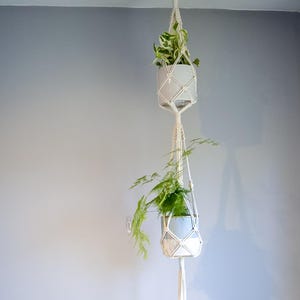 2 Level Plant Hanger Indoor, Two Tier Hanging Wall Planter, Multi Level Shrub Display, Double Layered Floating Flower Pot Holder