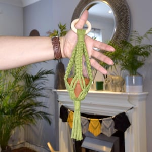 May include: A green macrame plant hanger with a wooden ring at the top, holding a small terracotta pot. The hanger has a knotted design and a tassel at the bottom. The plant hanger is designed to hold a small potted plant.