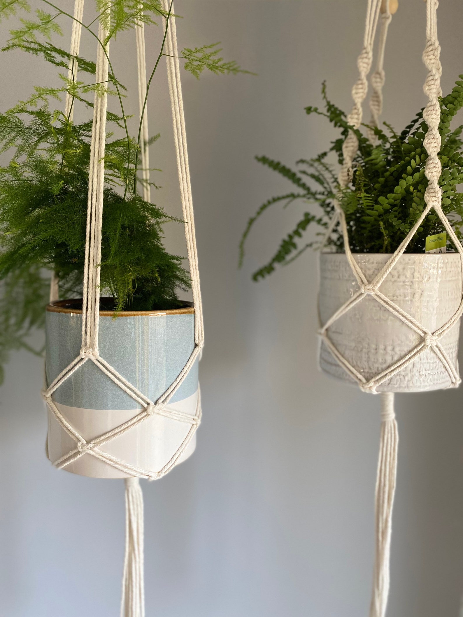 Macrame Ceiling Plant Hanger Indoor Hanging Wall Planter Etsy