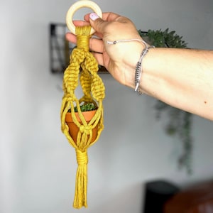 Musztardowy Mini Macrame Plant Hanger – Boho Indoor Hanging Planter for Succulent, Car Window & Shelf Decor, Small Wall Holder, Home Accent