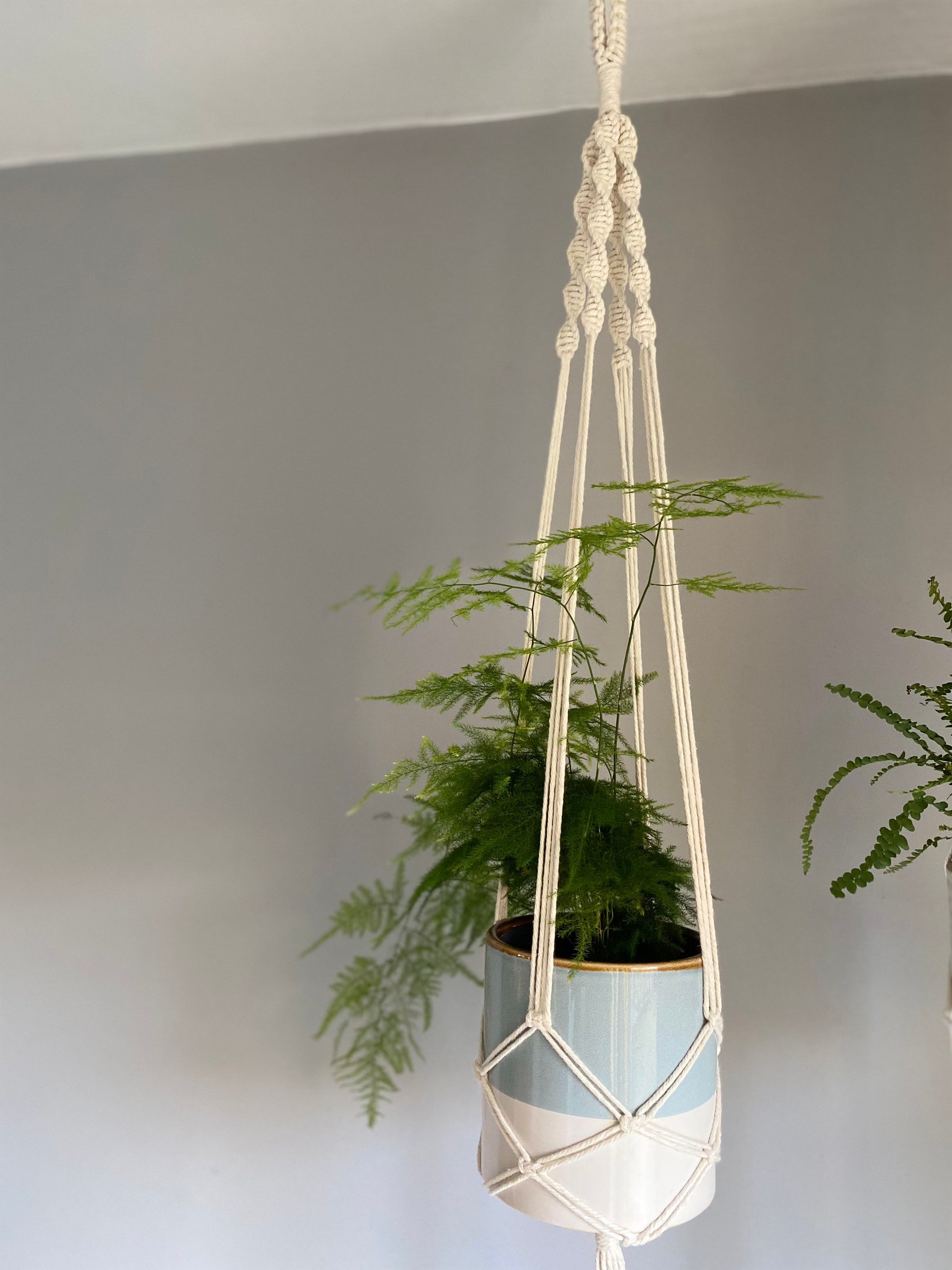 Macrame Ceiling Plant Hanger Indoor Hanging Wall Planter Etsy