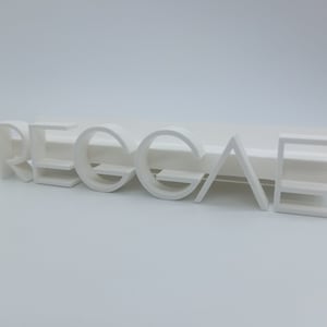 LP Vinyl Records wall mount Wall Mount REGGAE Font 3D NEW Color selectable