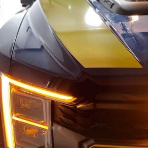 Ford F-150 Raptor Hood Stripes - Custom