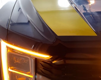 Ford F-150 Raptor Hood Stripes - Custom