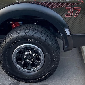 37&quot; CUSTOM Bedside & Tailgate Decals Raptor