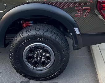 37" CUSTOM Bedside & Tailgate Decals Raptor