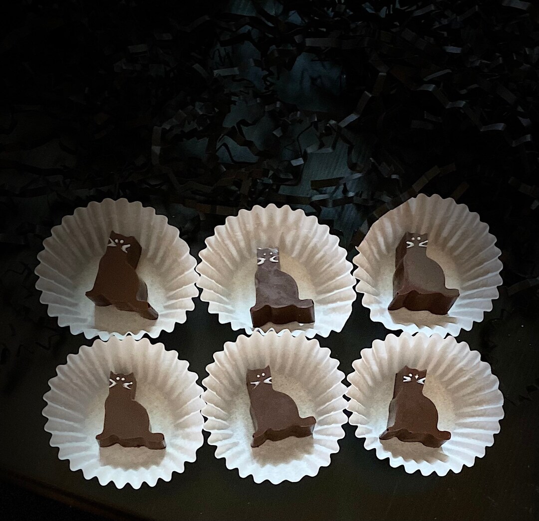 Cat Chocolates Cat Lovers Gift Chocolate Gift Kitty Etsy