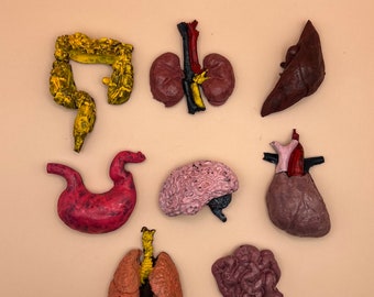 Solid Chocolate Organs | Spooky Chocolate Box | Nurse Gift | Doctor Gift | Anatomy | Weird Chocolates | Halloween Candy | Valentine’s Day