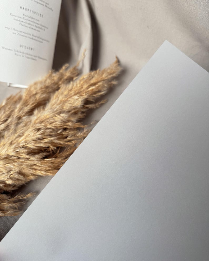 May include: A close-up shot of a white, angled paper surface with a soft, textured appearance. Dried, tan-colored ornamental grass and a menu with German text are in the background. The menu includes the words "HAUPTSPEISE" and "DESSERT".