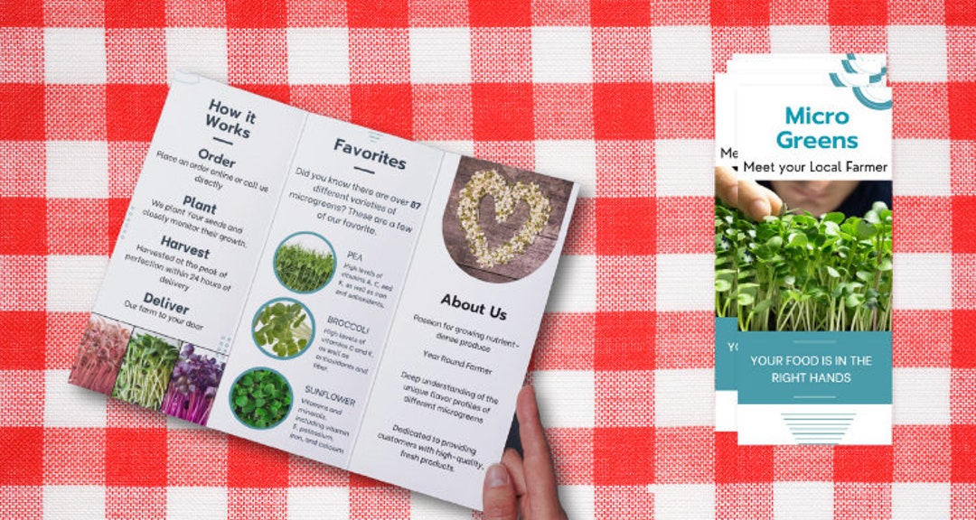 Microgreen Brochure Farmers Market Educational Microgreen Handout Etsy