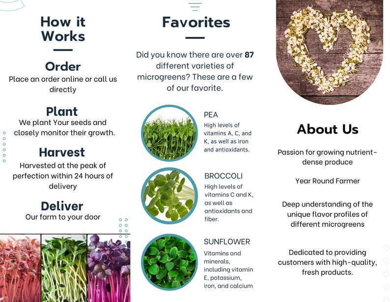 Farmer's Market Microgreen Brochure Z Fold Canva Template Educational