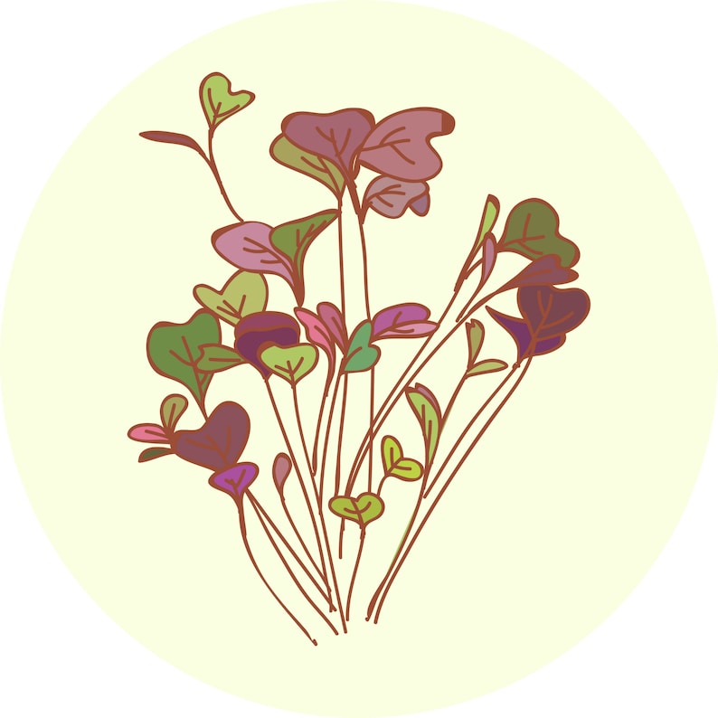 Microgreen Sticker Pack - Etsy